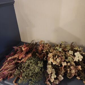Real Fragile Dried Oak Leaf Hydrangeas, Aromatic Blue Calamint and Celosia.